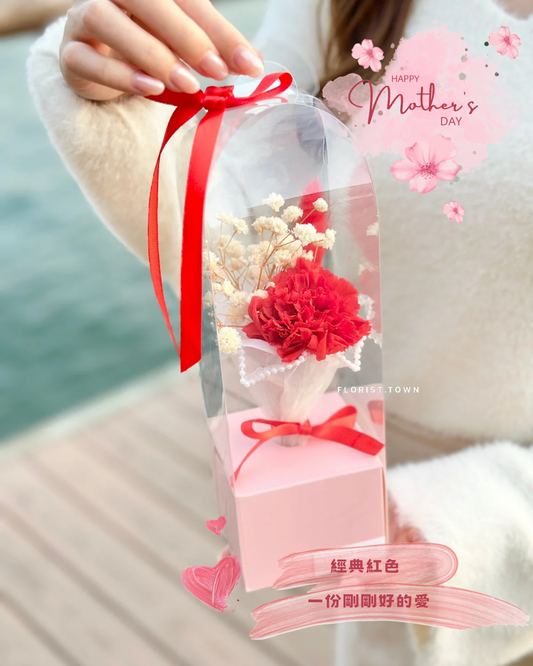 母親節花束丨韓式單支經典康乃馨花束